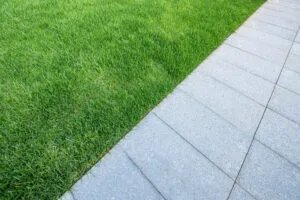 Close-up view of dying grass with brown patches and poor lawn health