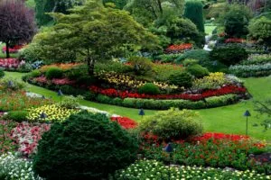 Well-established garden landscape featuring mature trees, native shrubs and professionally designed planting schemes demonstrating landscape expertise